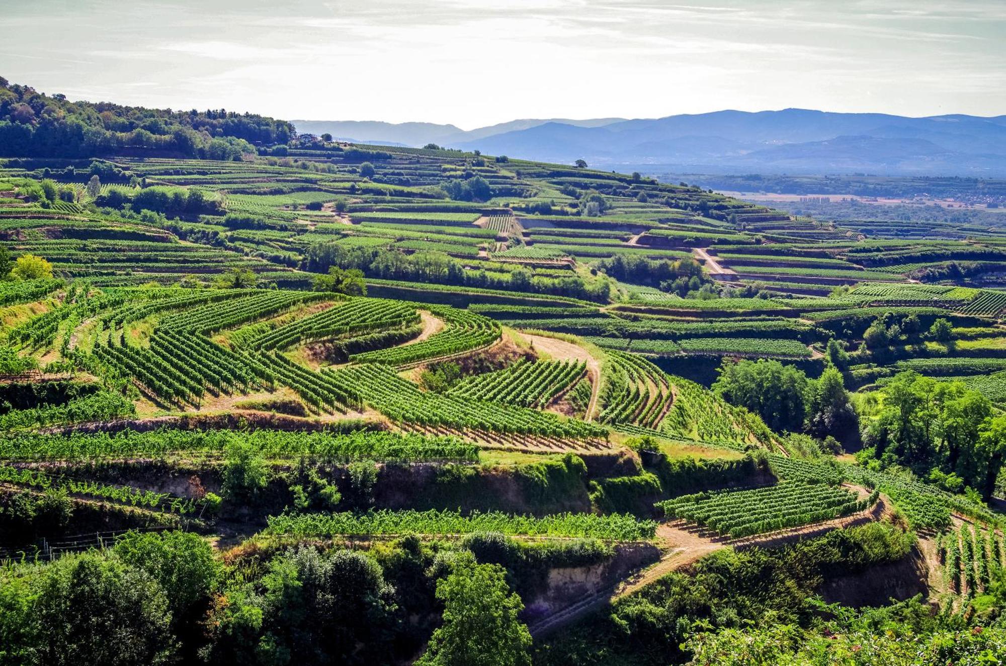 Dreilaendereck Am Kaiserstuhl Wasenweiler Exterior photo